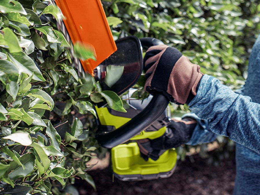 Photo: Tackle Thick Hedges and Branches 