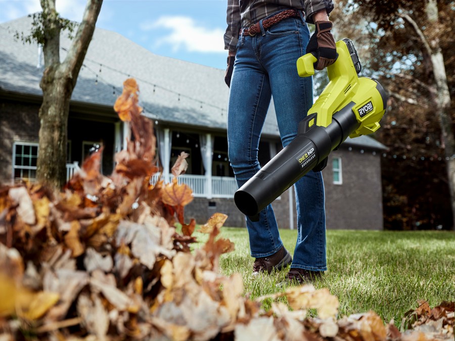 Handheld ryobi deals cordless blower