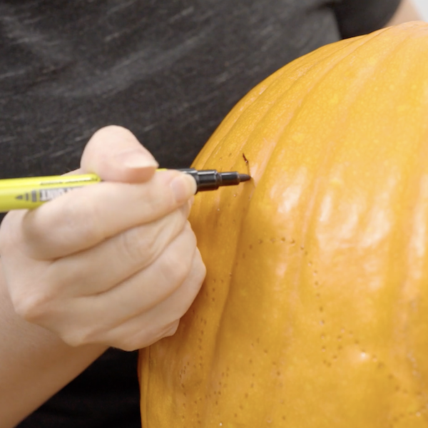 Transferring the template onto the pumpkin