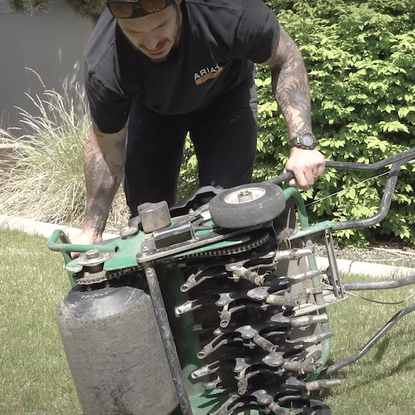 aerate the grass