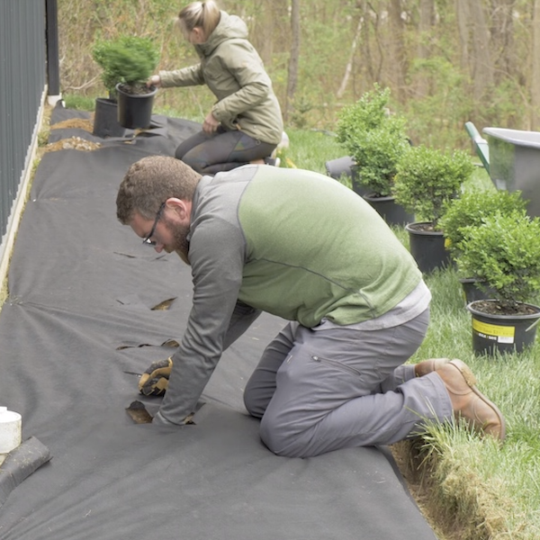 Laying weed barrier