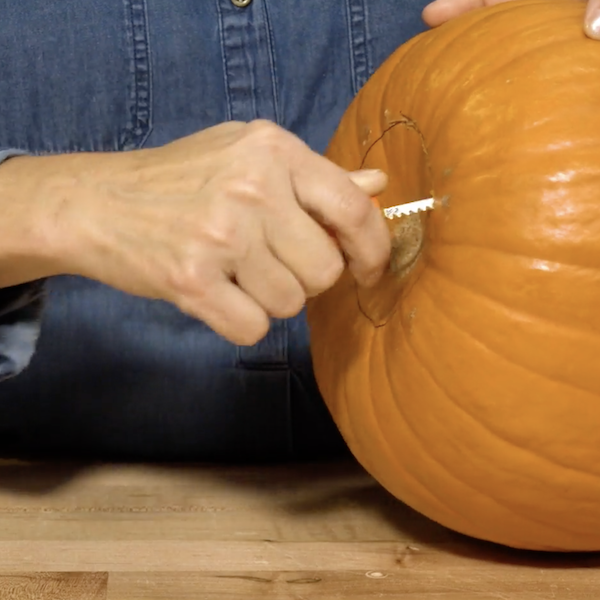Cutting the bottom of the pumpkin out